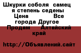 Шкурки соболя (самец) 1-я степень седены › Цена ­ 12 000 - Все города Другое » Продам   . Алтайский край